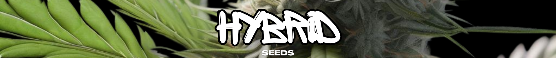 Hybrid Strain