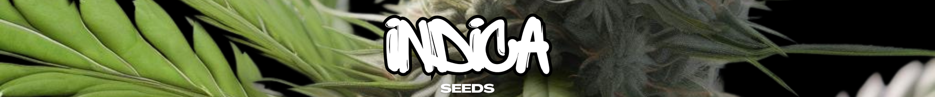 Indica Dominant