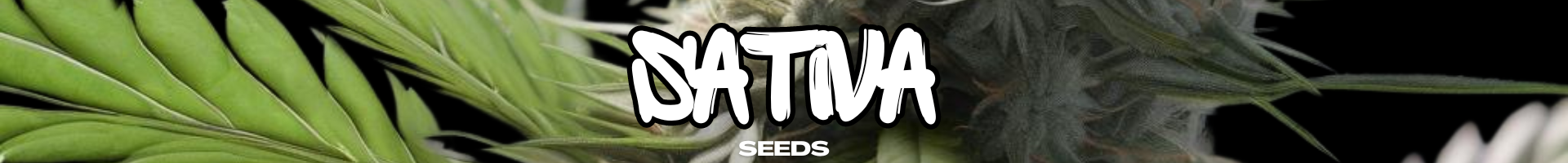Sativa Dominant