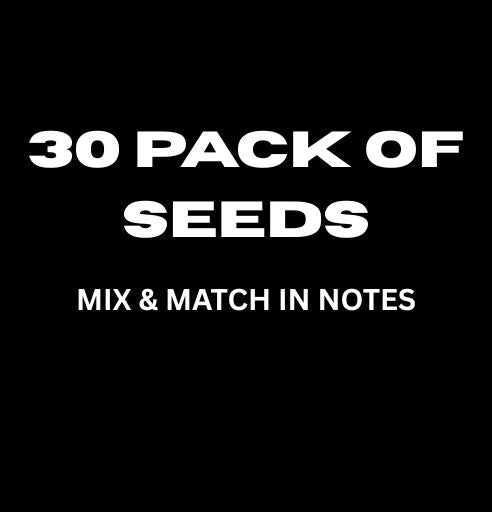 Mr. Mystic Seeds