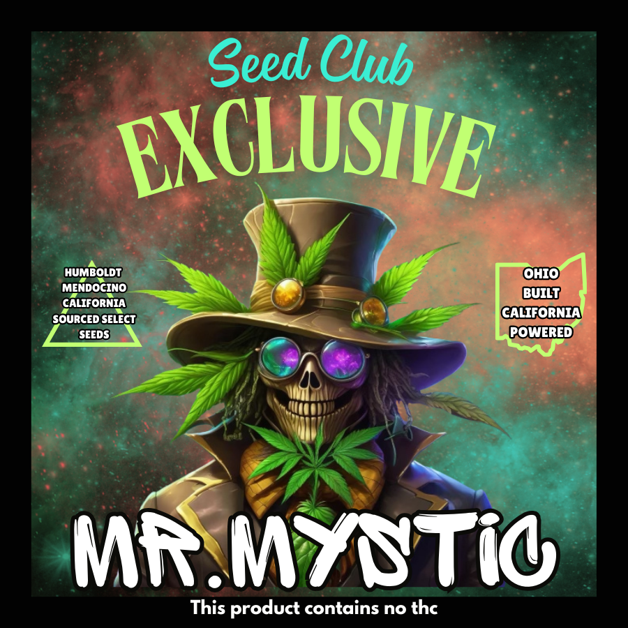 Mr. Mystic Seeds