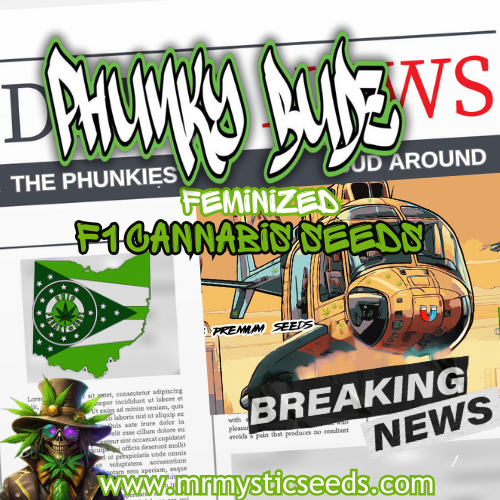 Ohio Phunky Budz F1 - 6 Regular Seeds