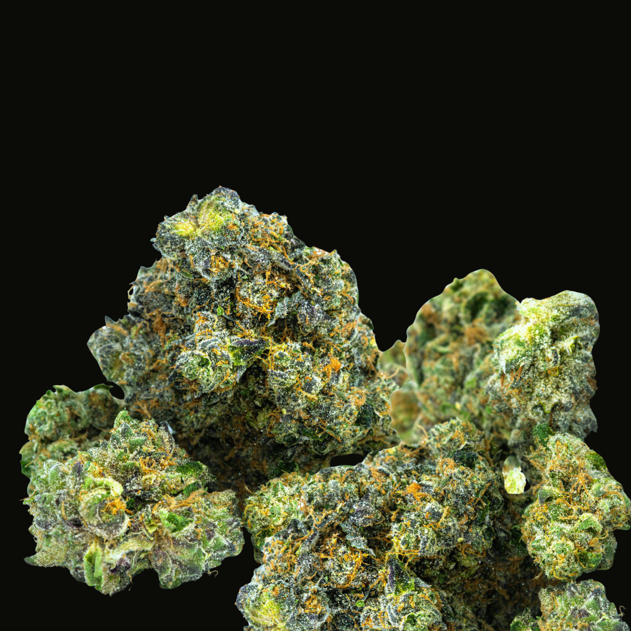 Dinner Mints Autoflower - 3 Feminized Seeds