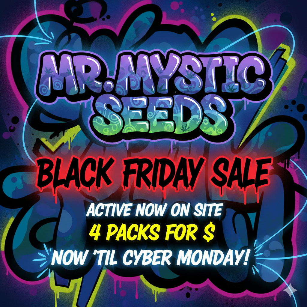 Mr. Mystic Seeds