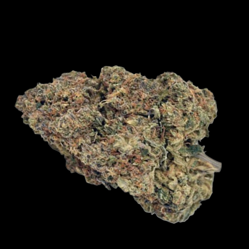 Mr. Mystic Seeds