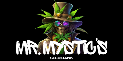Mr. Mystic Seeds
