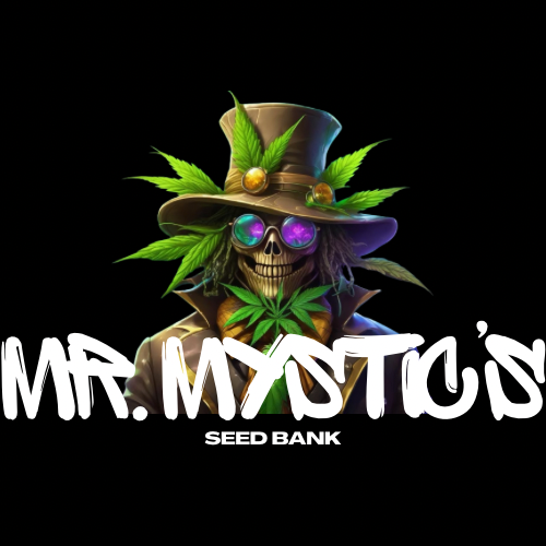 Marijuana Themed Skeleton 