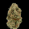 OG Kush - PHOTO - REQUESTED