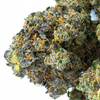 Skywalker The Force AUTO FLOWER Seeds - 3 Pack