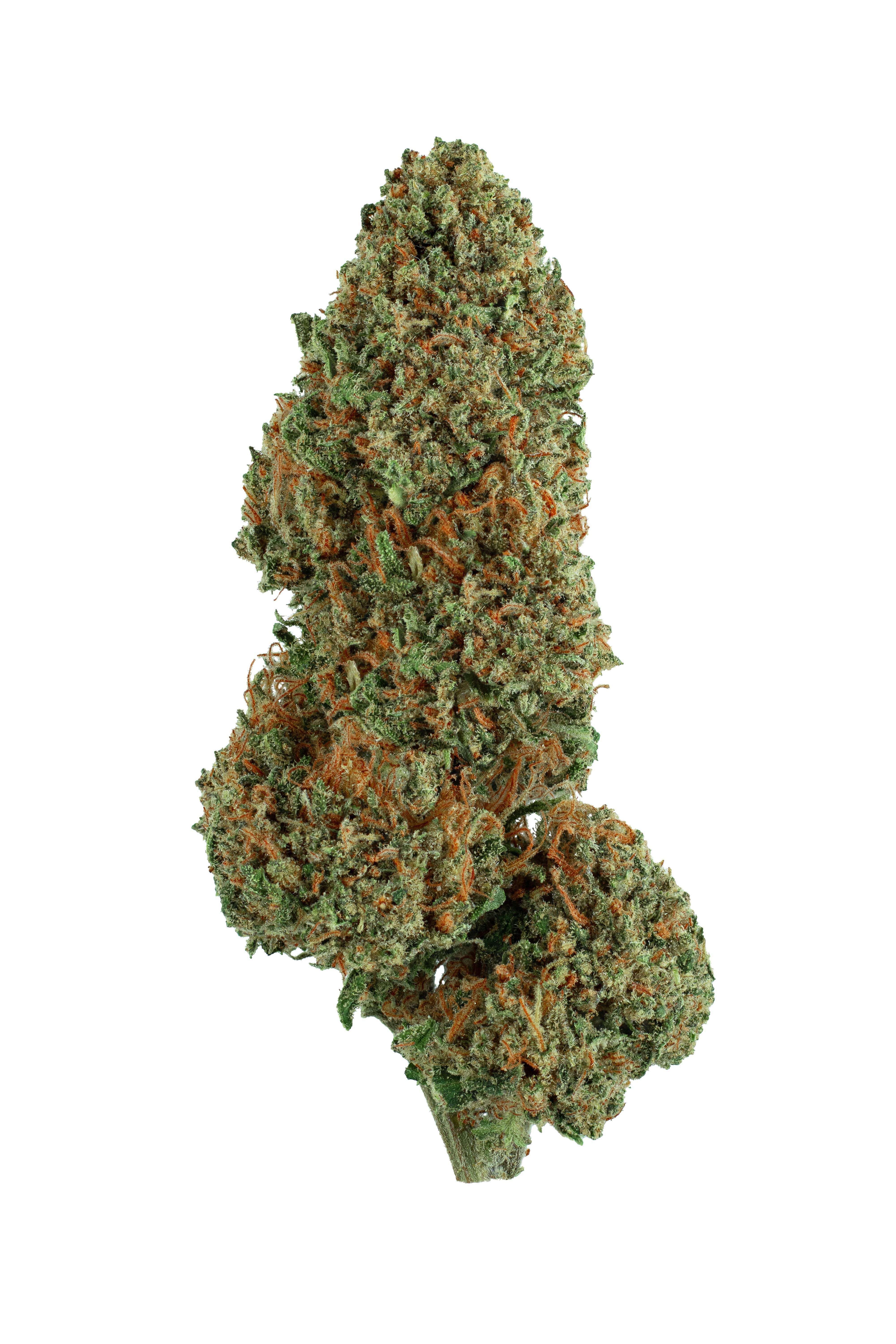 Cali D - 3 Feminized Seeds