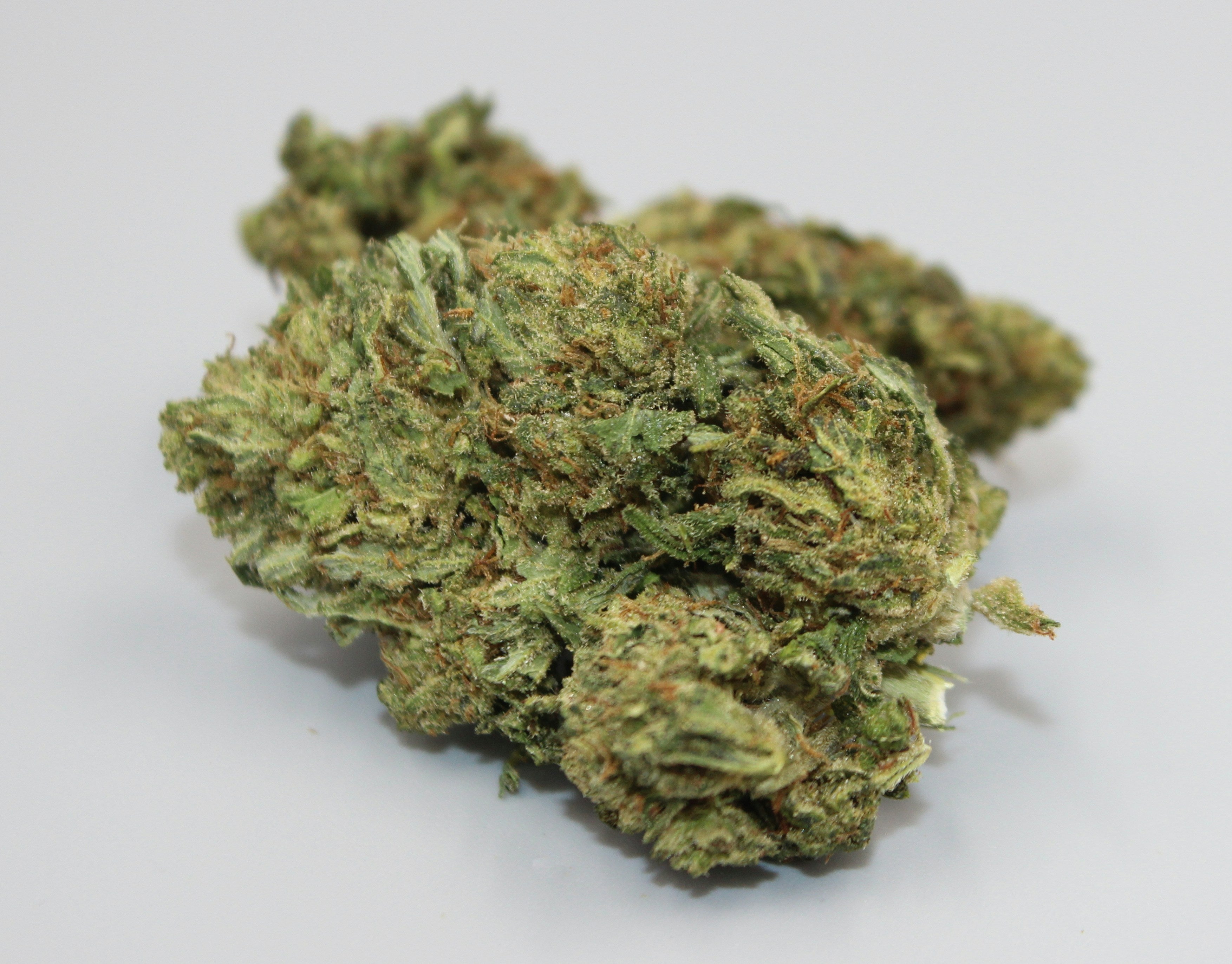 Ghost Milk - 3 Feminized Seeds