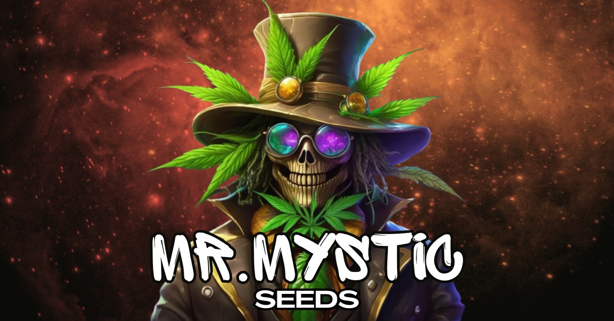 mr mystic seeds logo