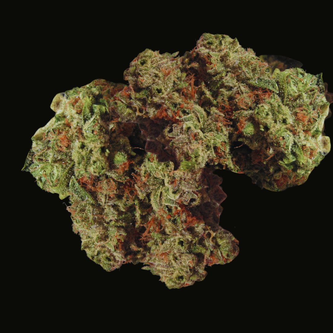 Street Diesel - 3 Feminized Autoflower Seeds